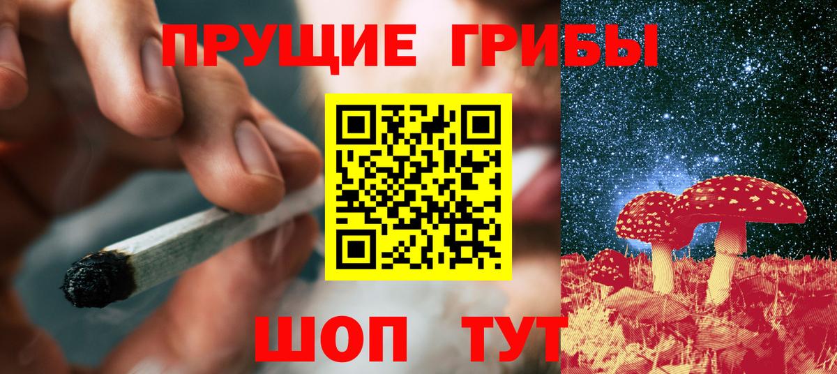 Псилоцибиновые грибы MAGIC MUSHROOMS Михайловка