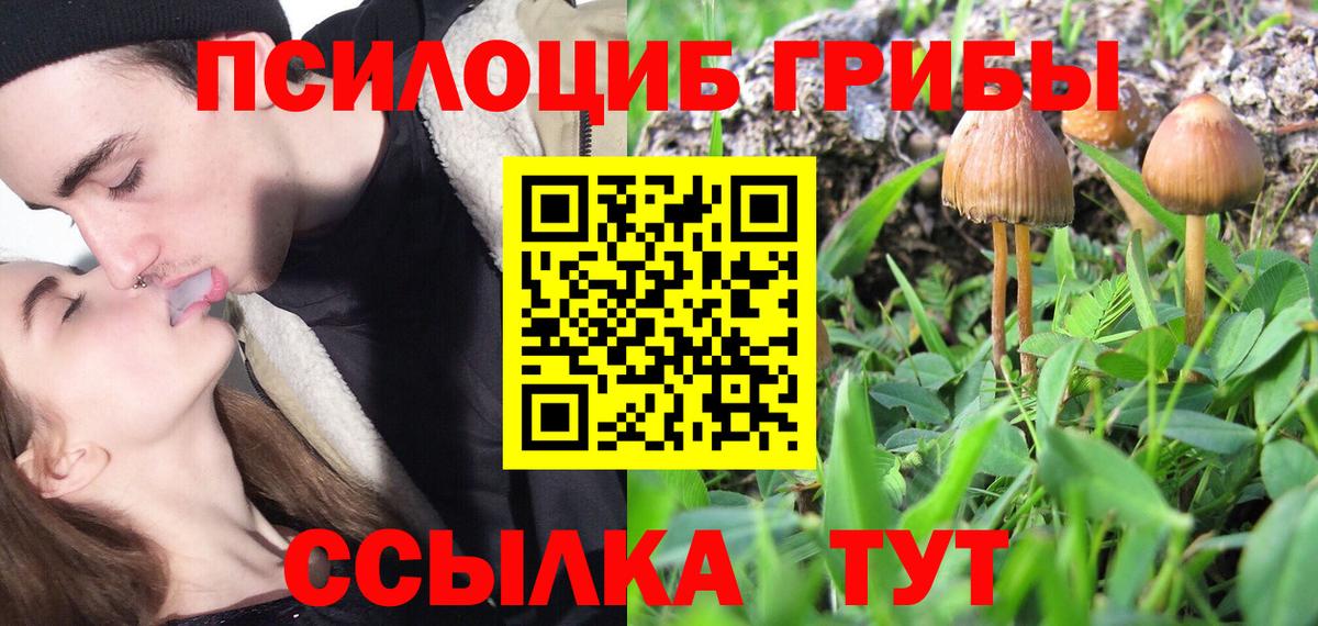 Канабис  ГЕРОИН  МЕТ  Михайловка  Меф   NBOMe  Канабис  Cocaine  Гашиш  A PVP СК   Вход с VPN  ГАШ  LSD-25 