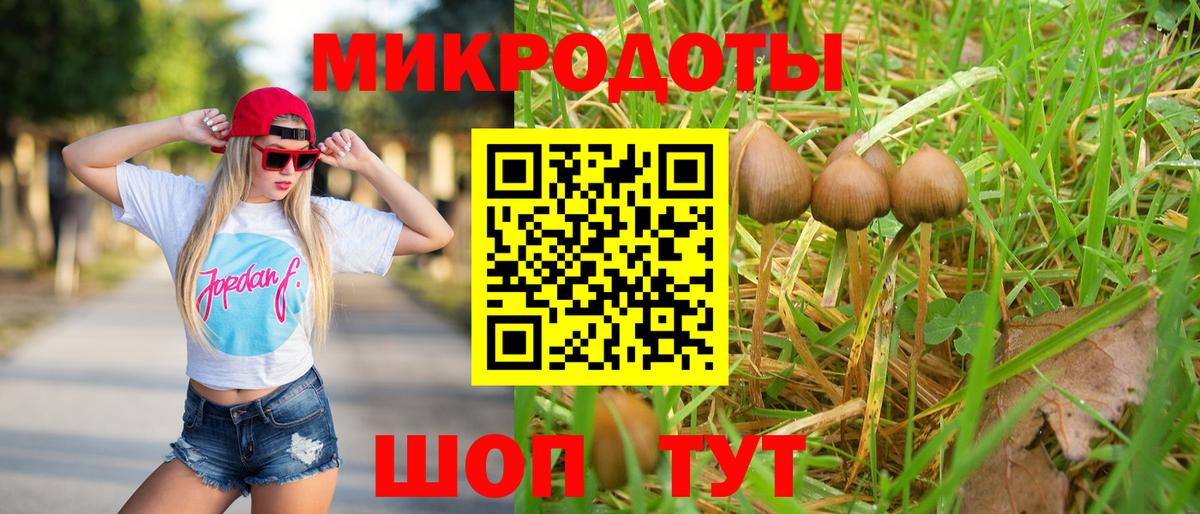 Михайловка  Псилоцибиновые грибы Cubensis  Вход с VPN  купить наркотик  Галлюциногенные грибы MAGIC MUSHROOMS 